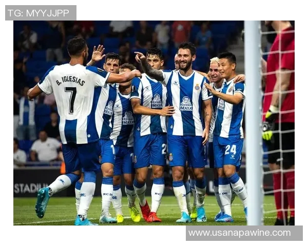 西甲激战回顾奥萨苏纳与西班牙人的精彩对决分析与亮点总结