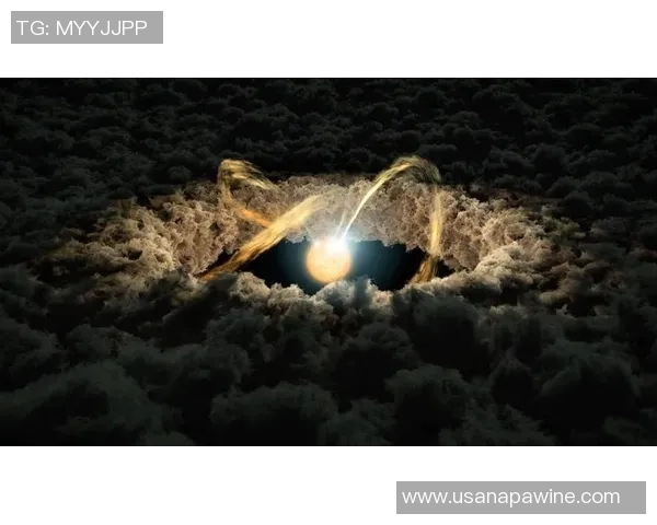 日本与免费视频的较量：文化创意与市场的碰撞与融合